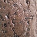 Cooksnap dari Ria Fajril ILham untuk resep Brownies Panggang No SP/additive (fudgy, chewy, shinny crust)
