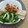 El cooksnap de lupita.m.c cuando hizo Filete de mojarra empapelado con verduras y salsa mexicana al ajo.