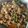 Cooksnap dari Willy Willy untuk resep Rica rica entog pedas