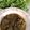 Ghazala Naeem's cooksnap of when they made Laal Saag (Red Spinach).