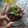 Cooksnap dari Silva RL untuk resep Semur Daging Rumahan