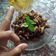Cooksnap dari Silva RL untuk resep Semur Daging Rumahan