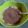 Cooksnap dari Maia Astrina untuk resep Alpukat Kocok Milo