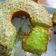 Cooksnap dari kijavier untuk resep Bolu Pandan lembut lembab simpel