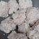 Cooksnap dari Nicholin Cute untuk resep Bakso Ayam || bisa utk frozen food