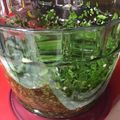 El cooksnap de penchi briones garcia cuando hizo 278. Aceite de ajo y perejil frescos / Thermomix.