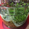 El cooksnap de penchi briones garcia cuando hizo 278. Aceite de ajo y perejil frescos / Thermomix.