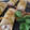 El cooksnap de M.E.T.R. (MªElena) cuando hizo Canelones fríos de salmón ahumado y queso crema con mayonesa de pesto.