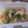 Cooksnap dari Ine Jullian S untuk resep Sayur Sop Bakso