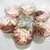 Cooksnap dari Arisauna Pahlevi untuk resep Choco Lasagna - Choco Cheese Oreo