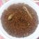 Cooksnap dari Neni Bardin untuk resep Bajabu Santan khas Boegiezt (Abon Ikan)