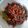Cooksnap dari Sinta chan untuk resep Sambal Teri Tomat
