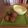 Cooksnap de Eric Jouanen sur la recette Falafels