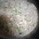 趙蓓蒂 的 剩飯料理：鹹粥 cooksnap