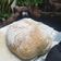 Cooksnap dari Lyan Nha untuk resep Roti Ciabatta