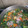 El cooksnap de Mario H. Davi cuando hizo Sopa de pollo y verduras.
