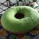 Cooksnap dari Putri Woelandhary untuk resep Bolu Pandan Santan (Bolu Panggang 4 Telur)