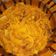 El cooksnap de Jorge Vergara cuando hizo Chicharrón en salsa roja.