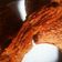 Cooksnap dari Yoeliati Ekarini untuk resep Bolu Karamel