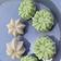 Cooksnap dari Imelda Chens untuk resep Apem tape kukus ala dapuR Lisa