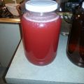 GigglesAV's cooksnap of when they made Strawberry Lemonade Moonshine.