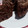 El cooksnap de chiki20669 cuando hizo Torta en taza chocolate ♡.