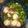 Cooksnap dari Marti emad untuk resep Bakso Ayam kenyal kuah seger