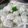 Cooksnap dari Istiqomah Fitriyani untuk resep Mochi Pandan isi kacang