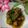 Cooksnap dari Kusumawardani untuk resep Ayam Cabe Hijau