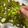 Cooksnap dari Kristina Heryawati untuk resep Cruchy Boiled Edamame