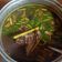 Cooksnap dari Sagita 🥰 untuk resep Rawon Super Enak