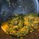 Cooksnap dari Anin NA untuk resep Rendang Daun Singkong Ibu