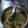 Md. Shahzad's cooksnap of when they made Chicken haleem.