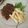 Cooksnap dari Rika Oonoki untuk resep Steak tempe krispy bbq saus