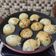 Geeta Panchbhai का कुकस्नैप जब उन्होंने सूजी अप्पम (Appam of Suji recipe in hindi) बनाया था।