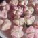 Cooksnap dari She Ros untuk resep Bolkus 'Wiro Sableng'