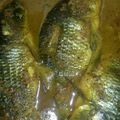 Cooksnap dari Dhita nurjaman untuk resep Pindang ikan mas masak kemangi