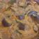 Cooksnap dari blaz untuk resep Lodeh tewel Suroboyo