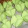 Cooksnap dari bintang kejora untuk resep Kue mangkok berbunga