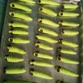 Cooksnap dari Iwan Hermawan untuk resep Kue Kering Ulat Bulu /Caterpillar Cookies