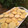 El cooksnap de Jazmin Torres cuando hizo Galletitas de avena, súper fácil y rápido.