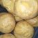 Cooksnap dari Fauziah Fitra untuk resep Kue Sus vla vanilla