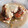 El cooksnap de Cook_and_Jud cuando hizo Gratinado de berenjenas y calabacines con queso feta.