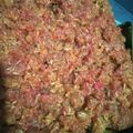 Cooksnap dari Yust untuk resep Sengkulun