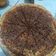 Cooksnap dari Eka Vasniati untuk resep MARTABAK MANIS TEFLON BERSARANG ANTI GAGAL!!