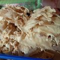 Cooksnap dari Ernasyantik untuk resep Peyek empuk dan renyah