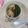 Cooksnap dari Bunda Olla untuk resep Wonton Soup
