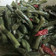 Cooksnap dari Diwyacitta Dirottsaha untuk resep Tumis kacang panjang ,bumbu taoco