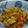 Cooksnap dari ivanawh untuk resep Oseng Tahu Tempe