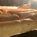 El cooksnap de Felipe Ramirez Vidal cuando hizo Chaparritas Caseras.